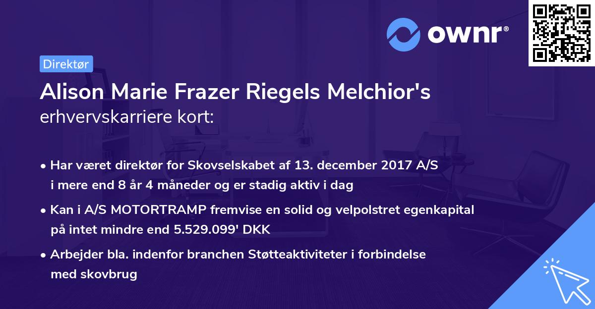 Alison Marie Frazer Riegels Melchior's erhvervskarriere kort