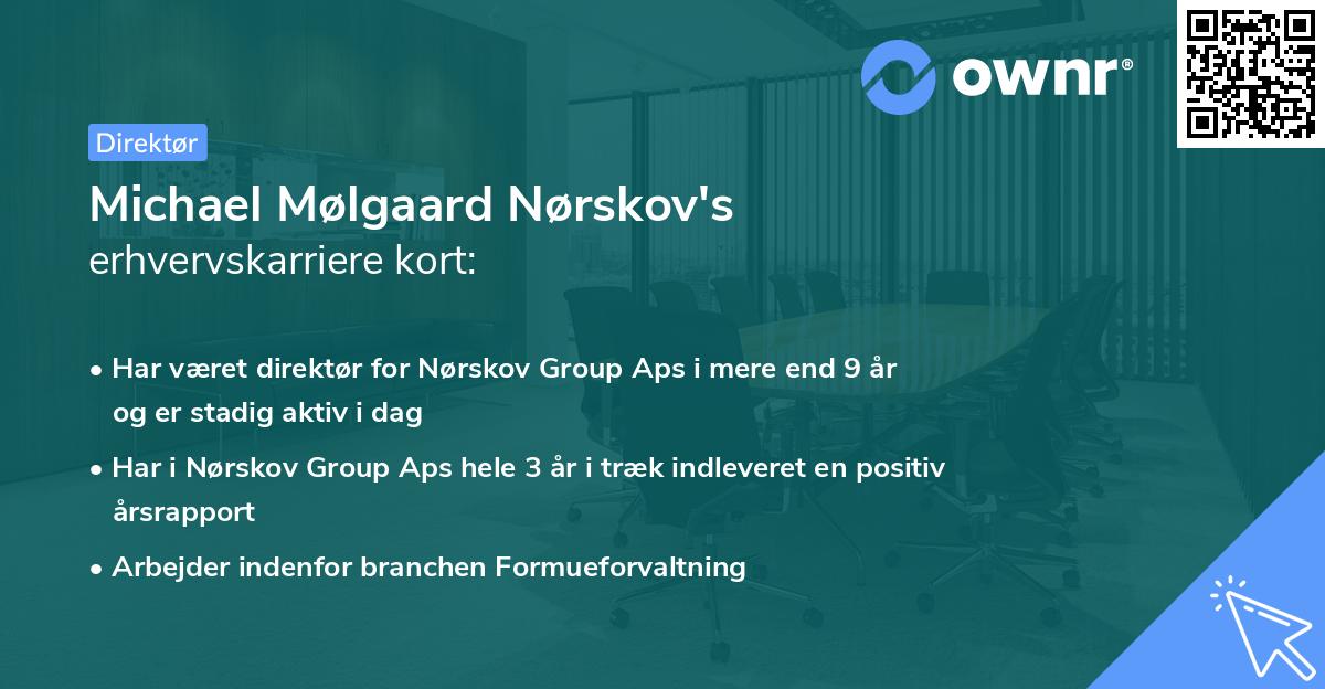 Michael Mølgaard Nørskov's erhvervskarriere kort