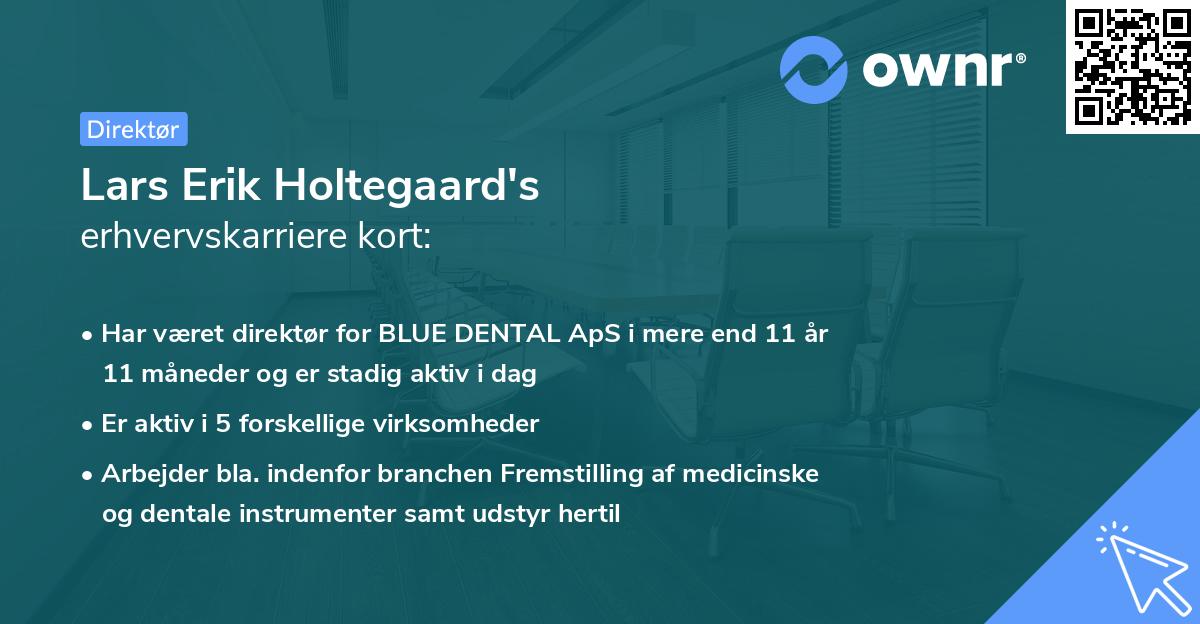 Lars Erik Holtegaard's erhvervskarriere kort