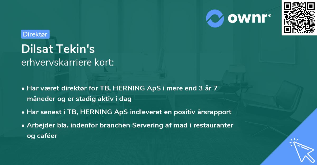 Dilsat Tekin's erhvervskarriere kort