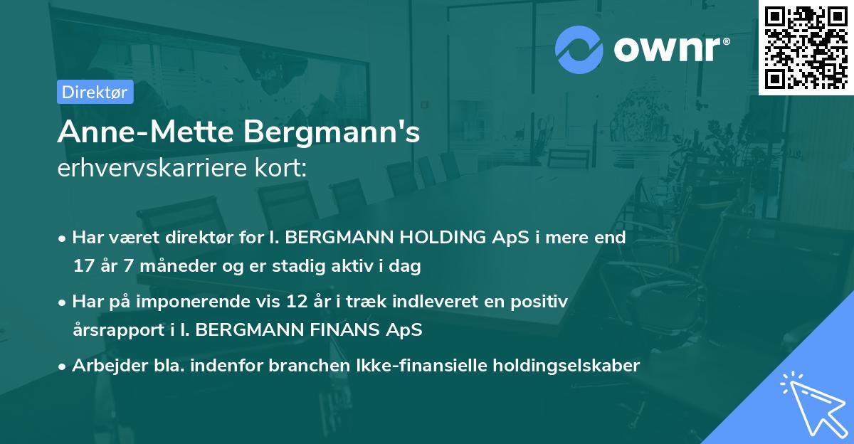 Anne-Mette Bergmann's erhvervskarriere kort