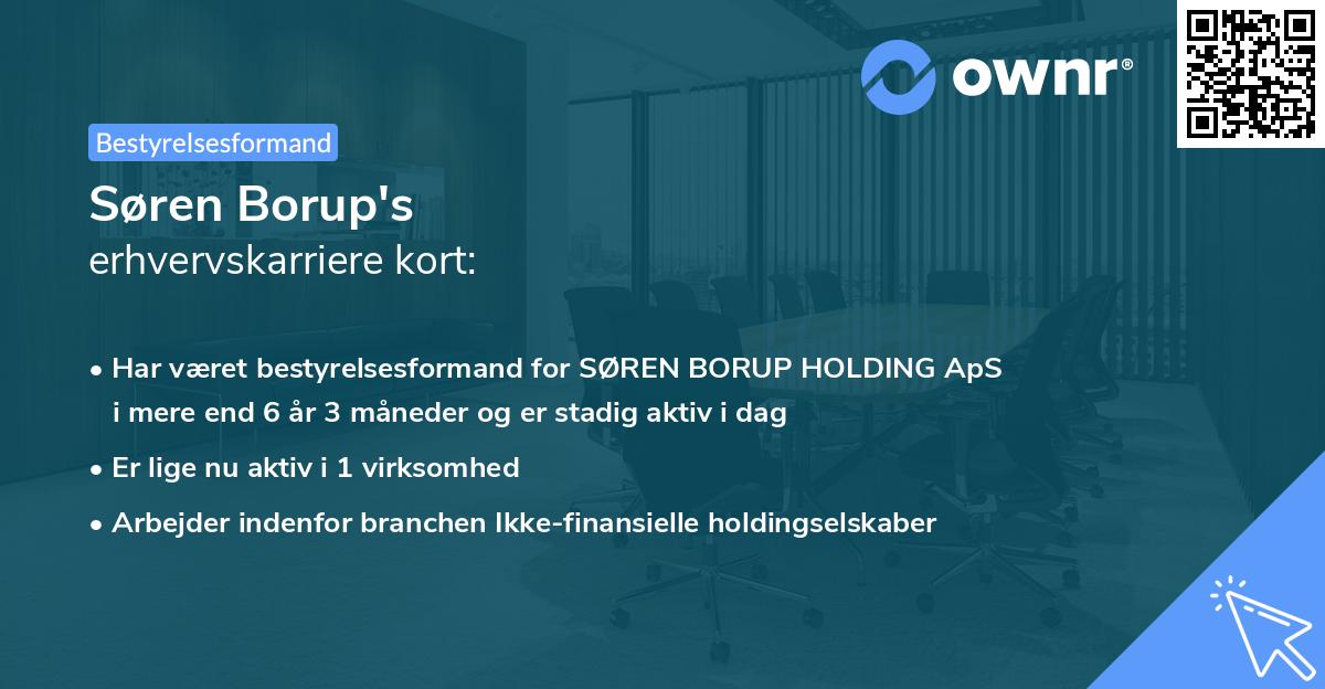 Søren Borup's erhvervskarriere kort