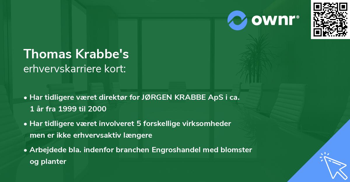 Thomas Krabbe's erhvervskarriere kort