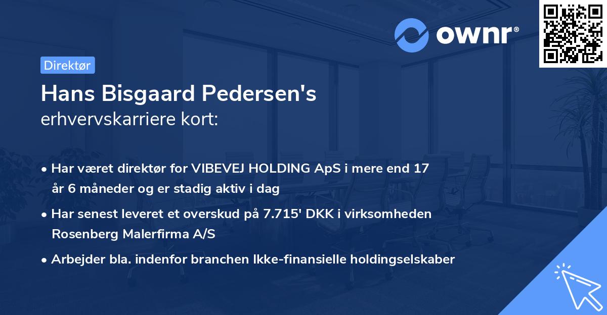 Hans Bisgaard Pedersen's erhvervskarriere kort