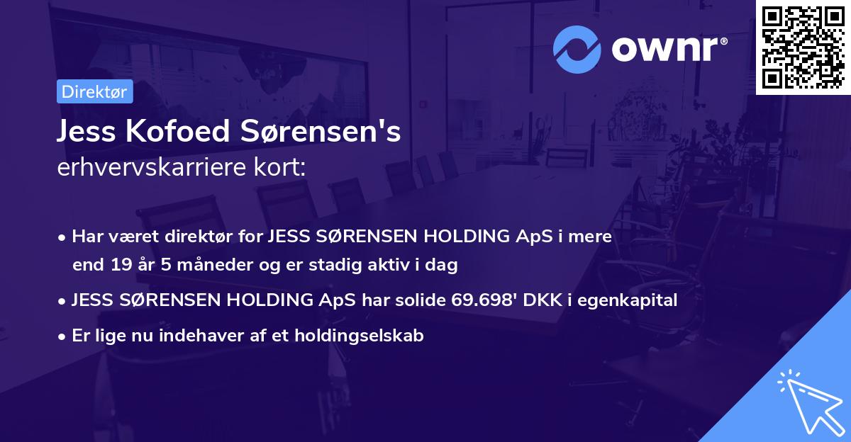 Jess Kofoed Sørensen's erhvervskarriere kort