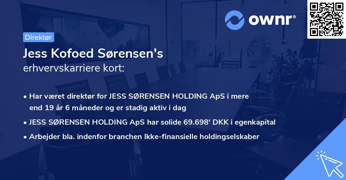 Jess Kofoed Sørensen's erhvervskarriere kort