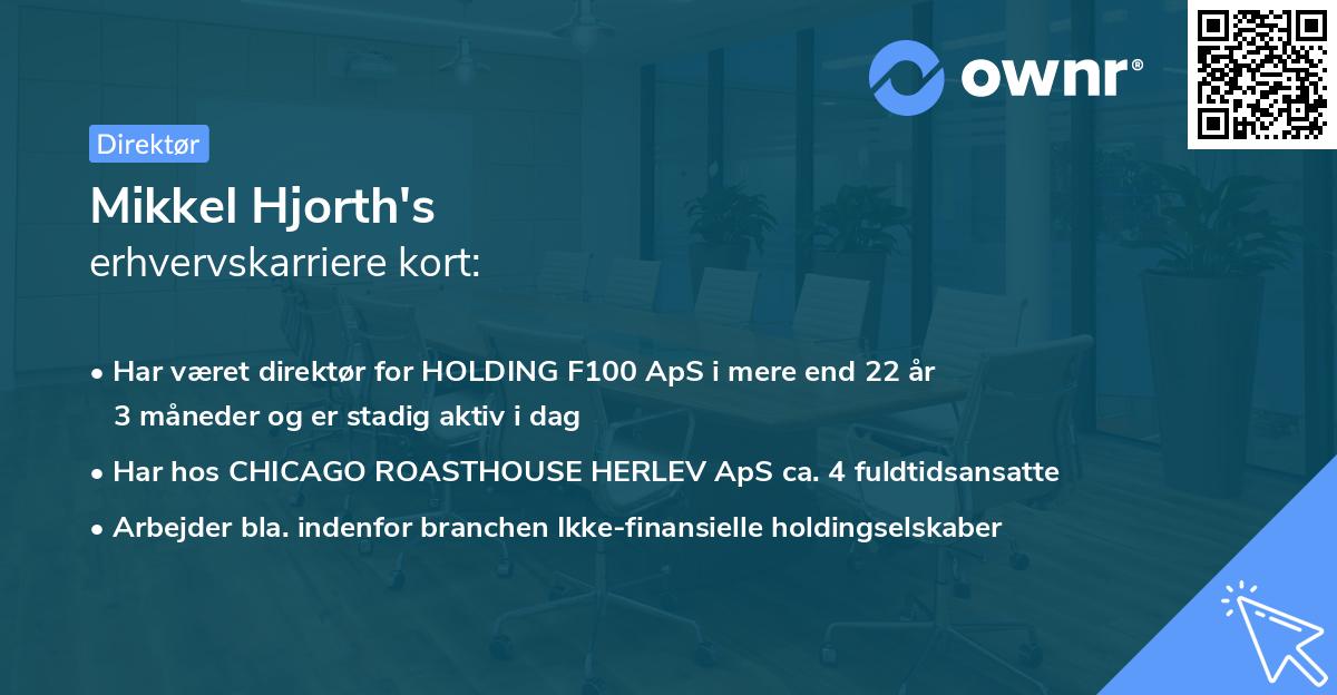 Mikkel Hjorth's erhvervskarriere kort