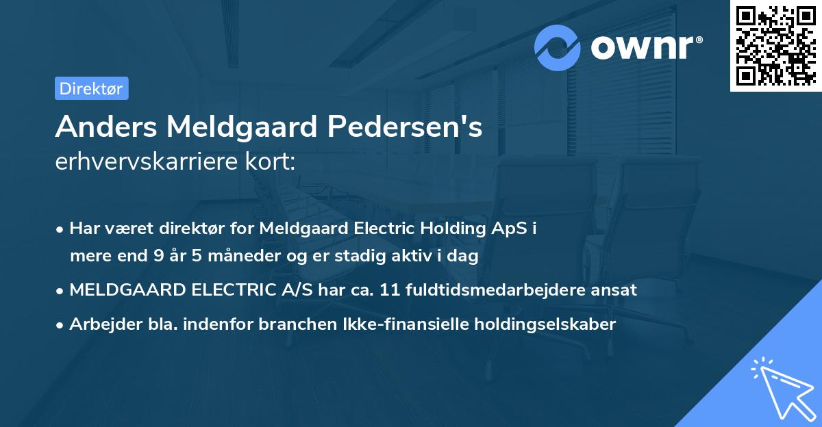Anders Meldgaard Pedersen's erhvervskarriere kort