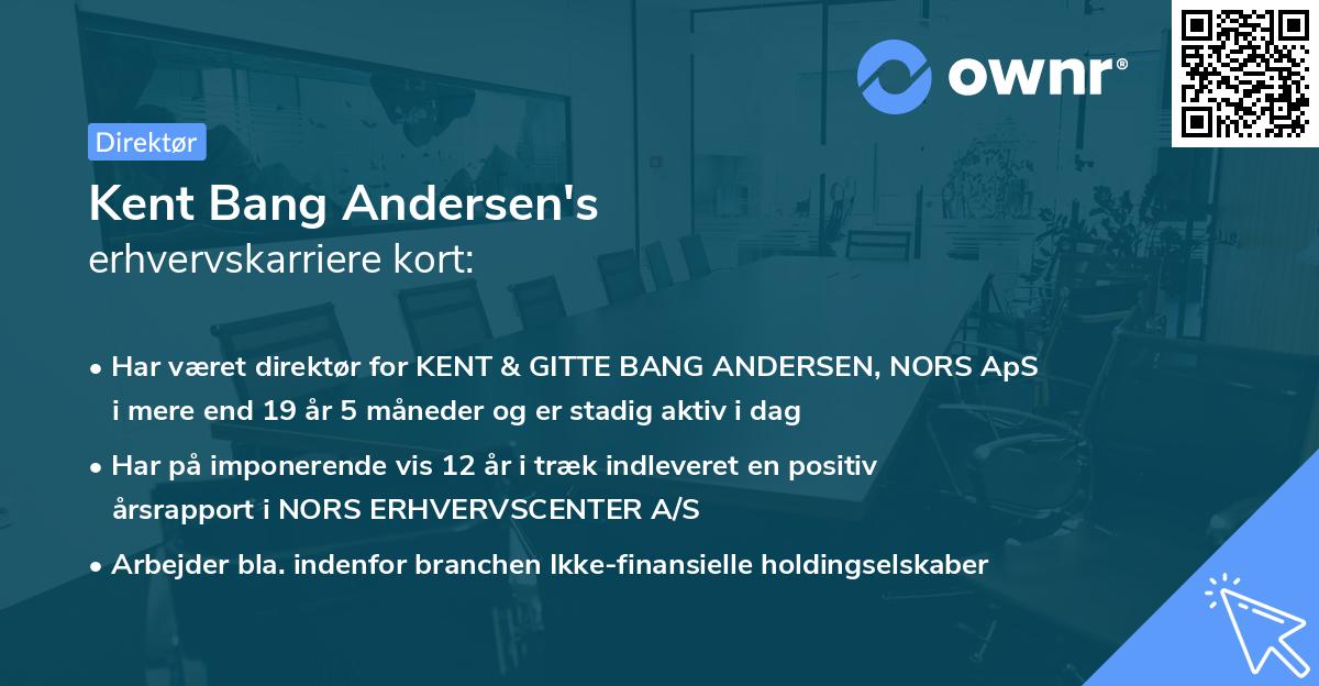 Kent Bang Andersen's erhvervskarriere kort
