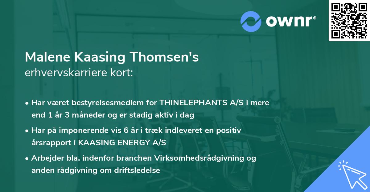 Malene Kaasing Thomsen's erhvervskarriere kort