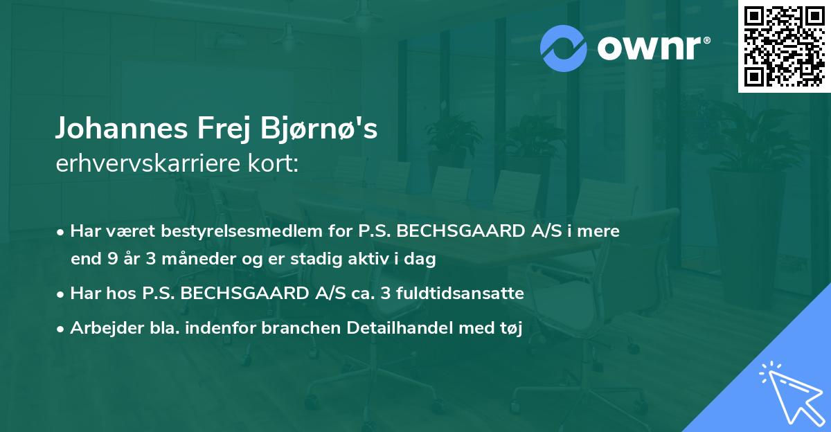 Johannes Frej Bjørnø's erhvervskarriere kort