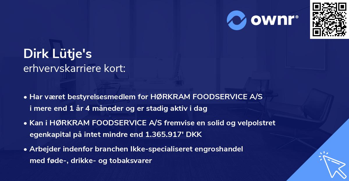 Dirk Lütje's erhvervskarriere kort