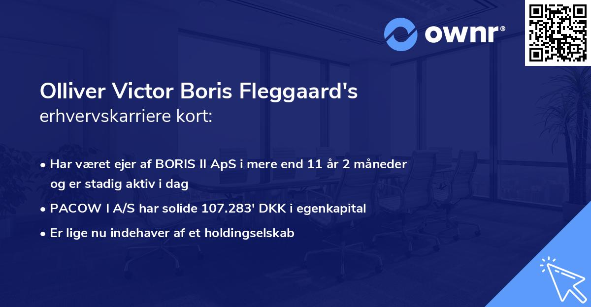 Olliver Victor Boris Fleggaard's erhvervskarriere kort