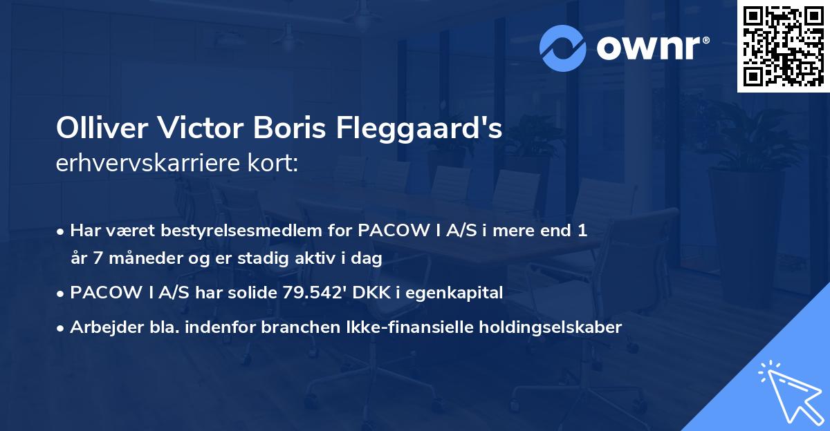 Olliver Victor Boris Fleggaard's erhvervskarriere kort