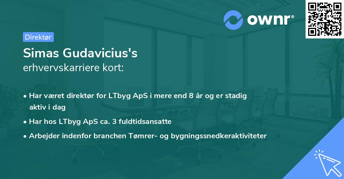 Simas Gudavicius's erhvervskarriere kort