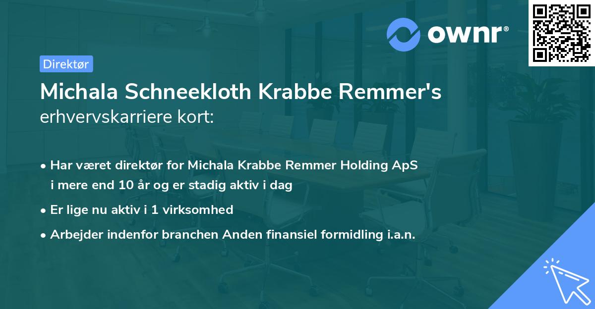 Michala Schneekloth Krabbe Remmer's erhvervskarriere kort