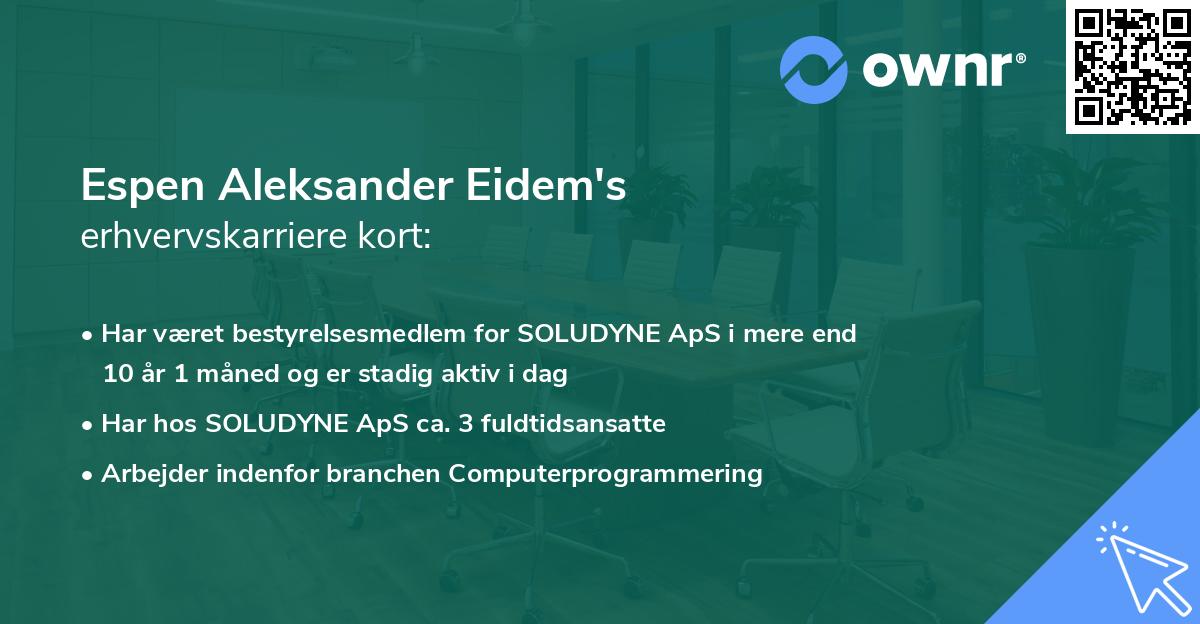 Espen Aleksander Eidem's erhvervskarriere kort