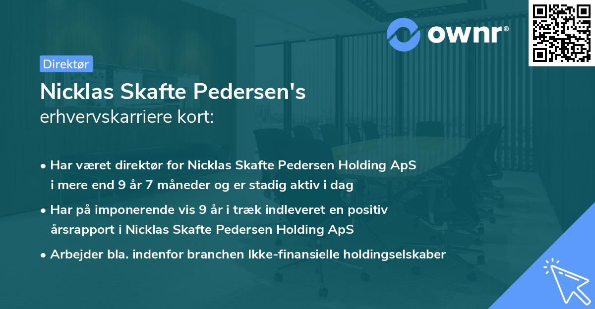 Nicklas Skafte Pedersen's erhvervskarriere kort