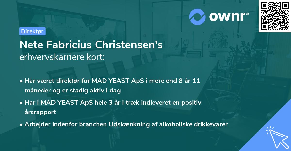 Nete Fabricius Christensen's erhvervskarriere kort
