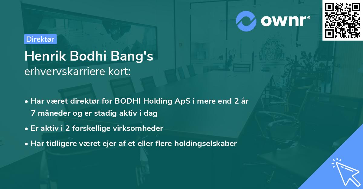 Henrik Bodhi Bang's erhvervskarriere kort