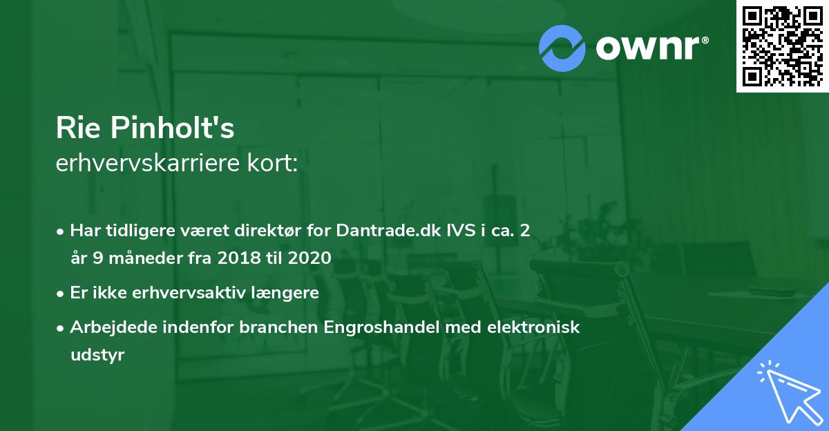 Rie Pinholt's erhvervskarriere kort