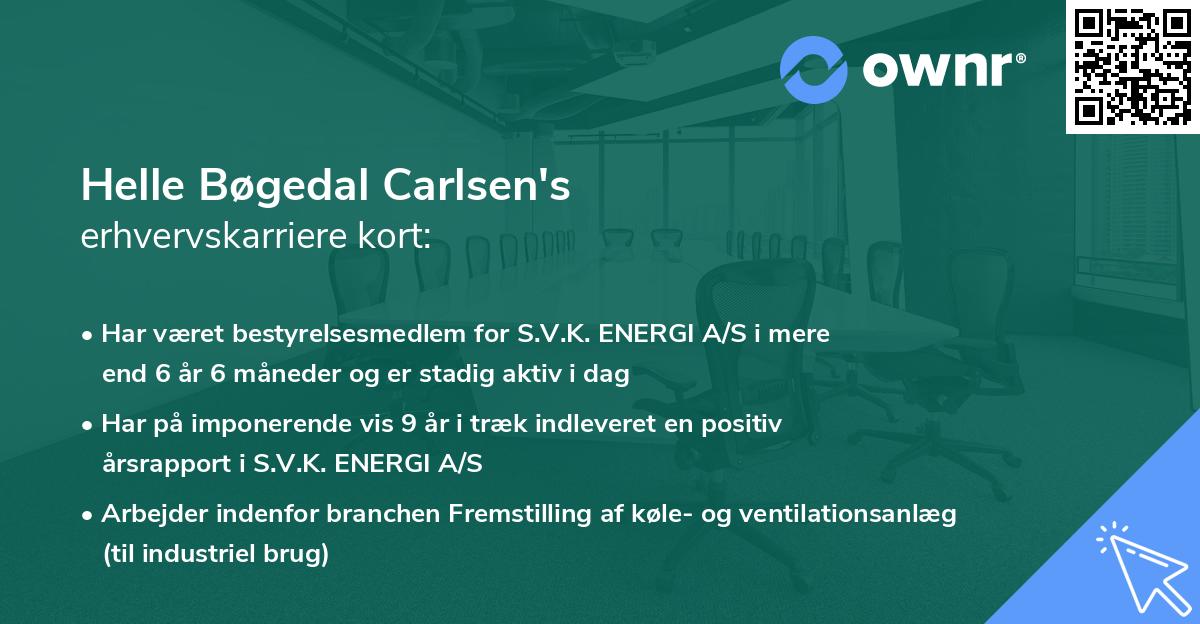 Helle Bøgedal Carlsen's erhvervskarriere kort