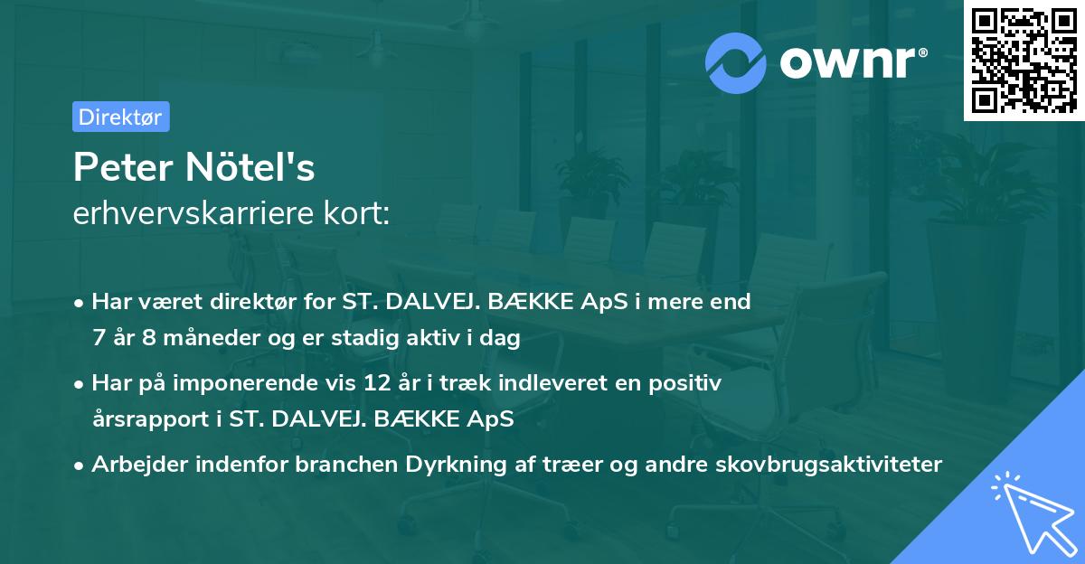 Peter Nötel's erhvervskarriere kort