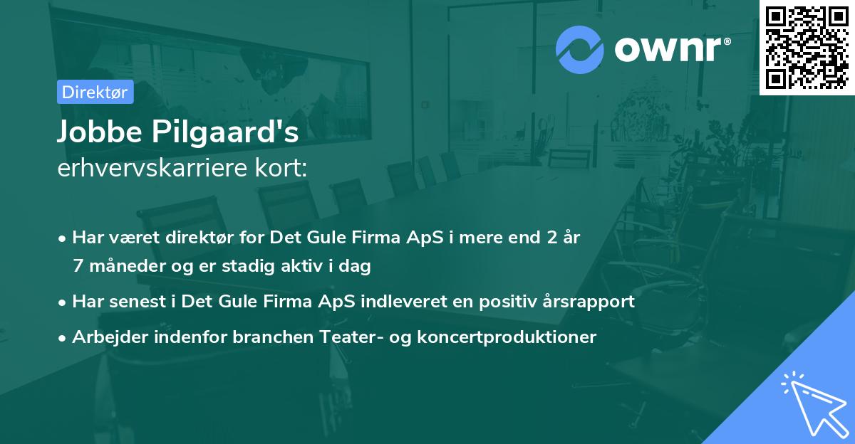 Jobbe Pilgaard's erhvervskarriere kort