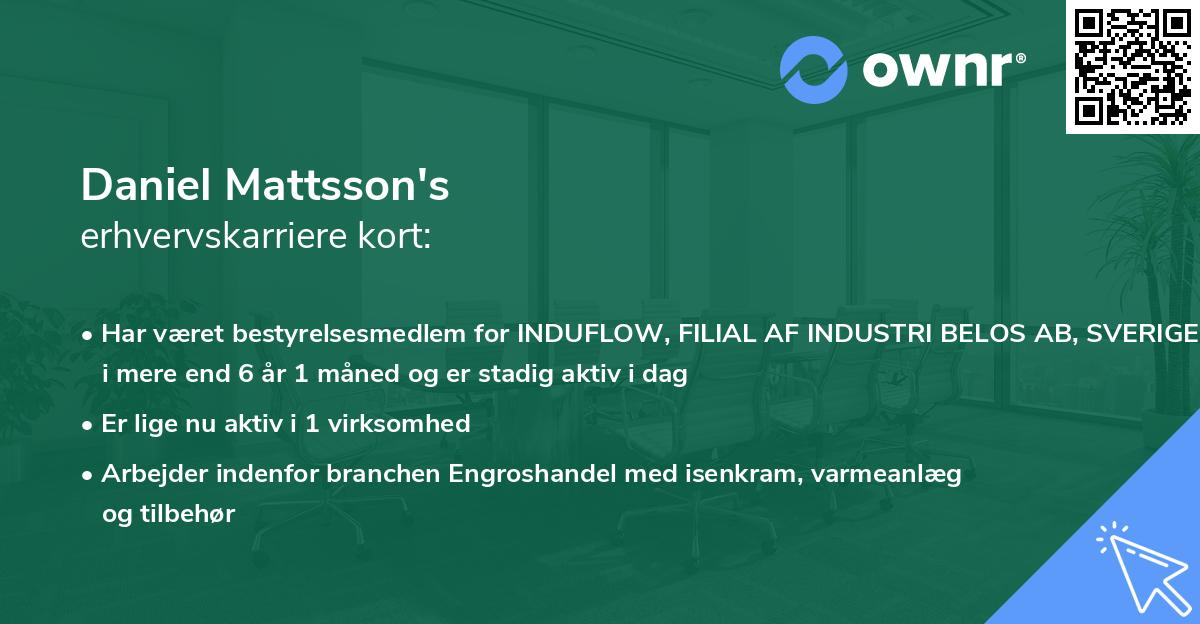 Daniel Mattsson's erhvervskarriere kort