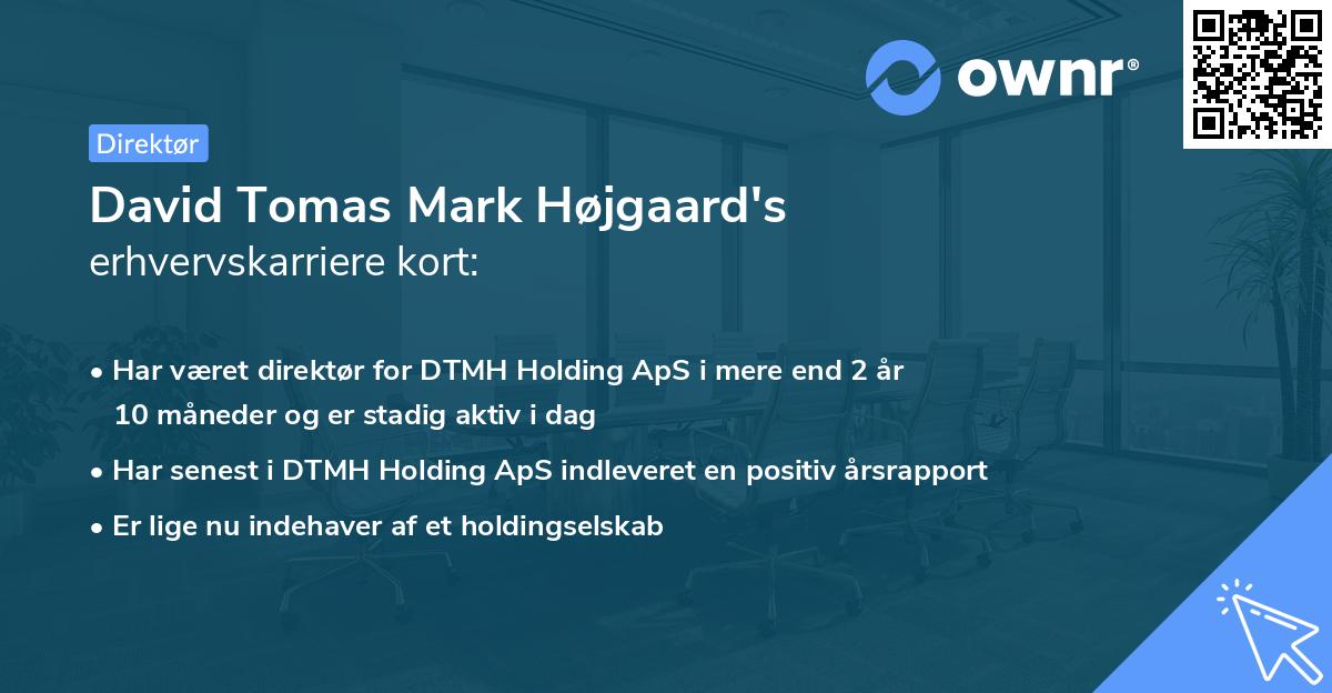 David Tomas Mark Højgaard's erhvervskarriere kort