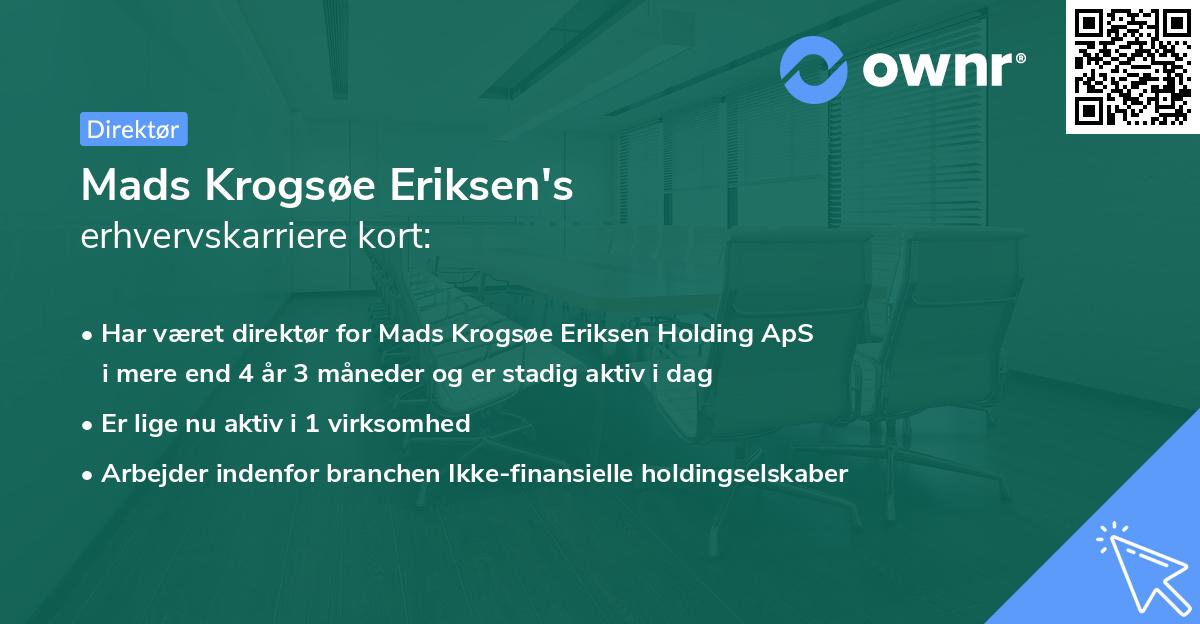 Mads Krogsøe Eriksen's erhvervskarriere kort