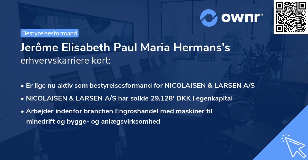 Jerôme Elisabeth Paul Maria Hermans's erhvervskarriere kort