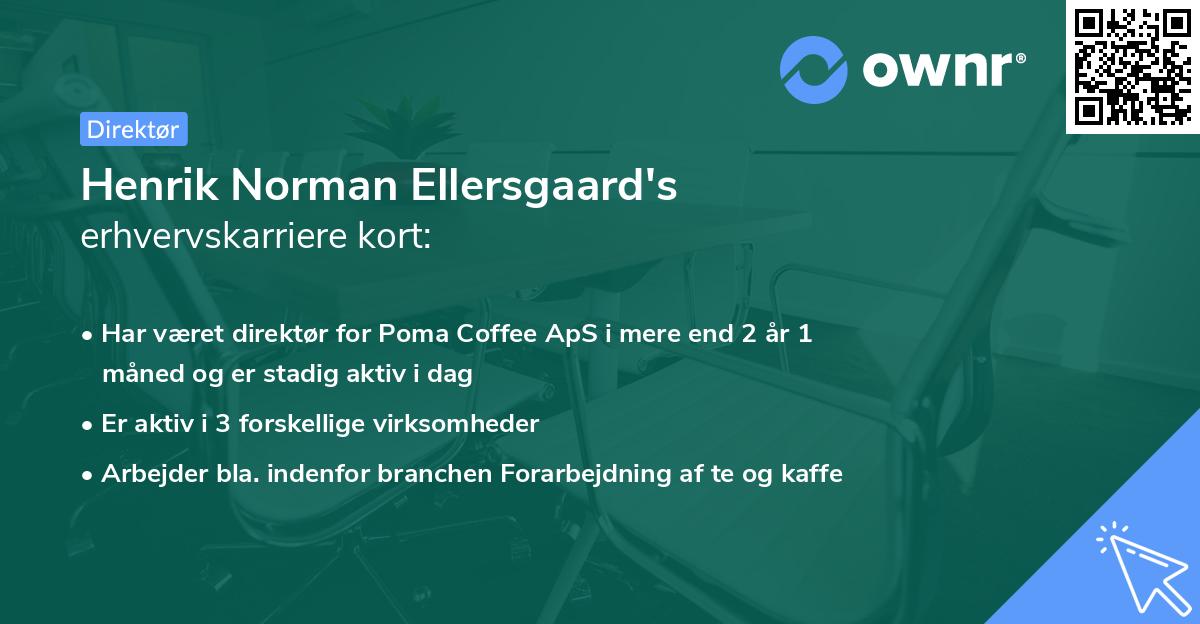 Henrik Norman Ellersgaard's erhvervskarriere kort