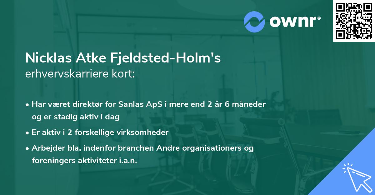 Nicklas Atke Fjeldsted-Holm's erhvervskarriere kort