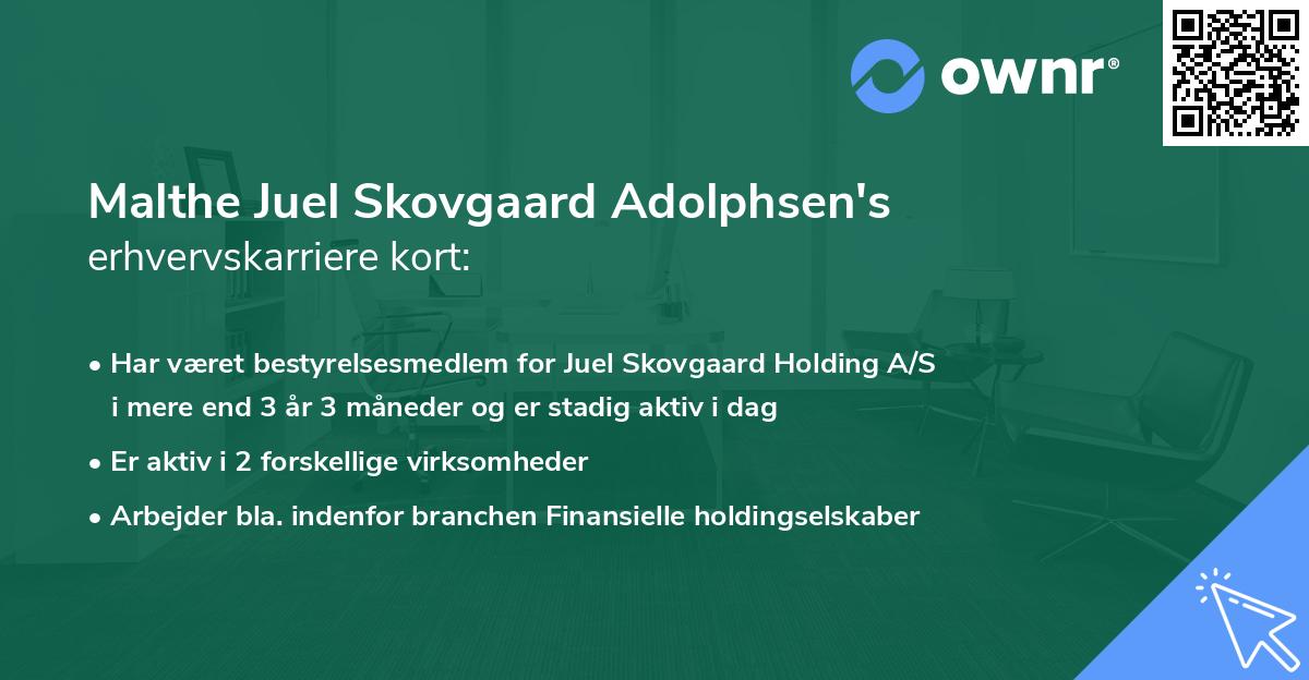 Malthe Juel Skovgaard Adolphsen's erhvervskarriere kort