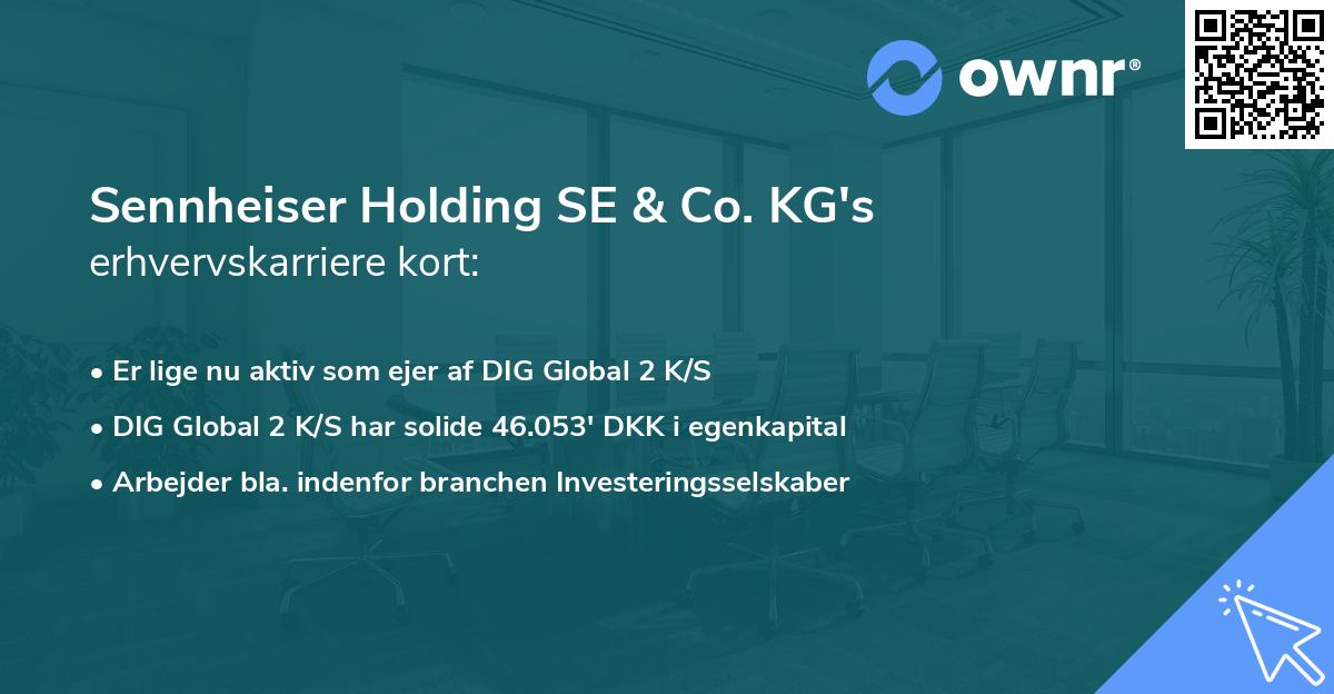 Sennheiser Holding SE & Co. KG's erhvervskarriere kort