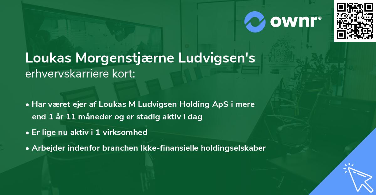 Loukas Morgenstjærne Ludvigsen's erhvervskarriere kort