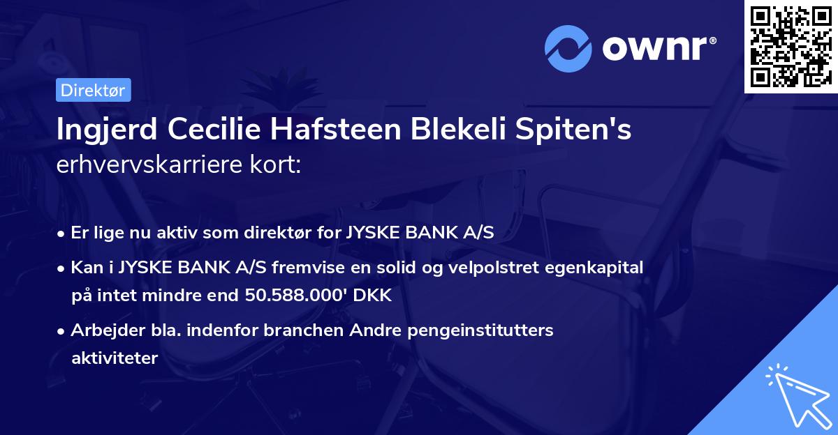 Ingjerd Cecilie Hafsteen Blekeli Spiten's erhvervskarriere kort