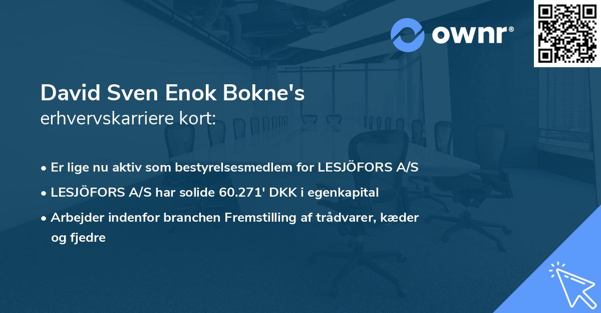 David Sven Enok Bokne's erhvervskarriere kort