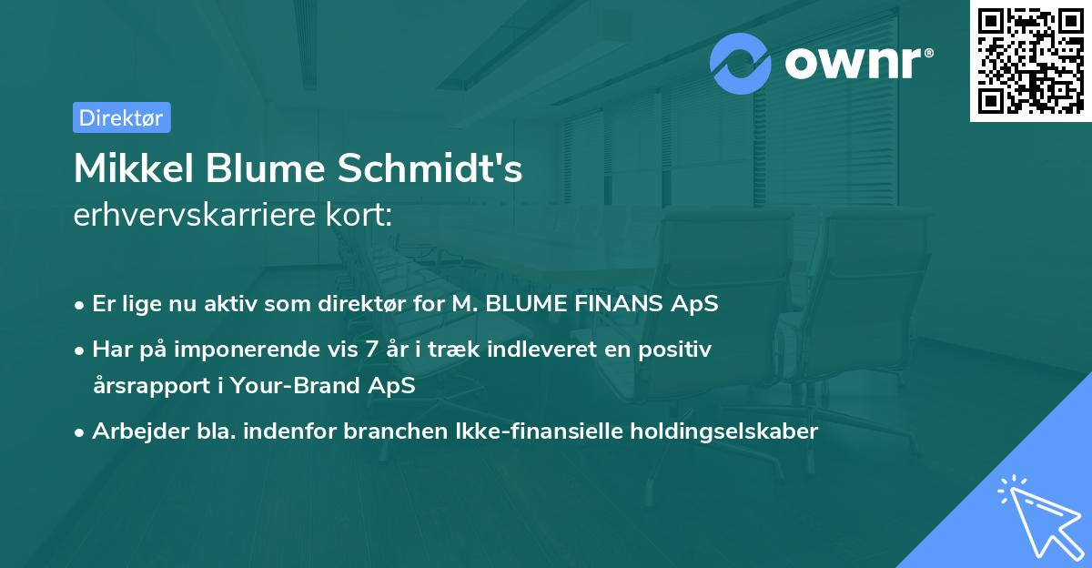 Mikkel Blume Schmidt's erhvervskarriere kort
