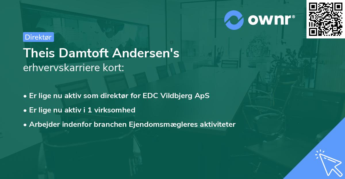 Theis Damtoft Andersen's erhvervskarriere kort