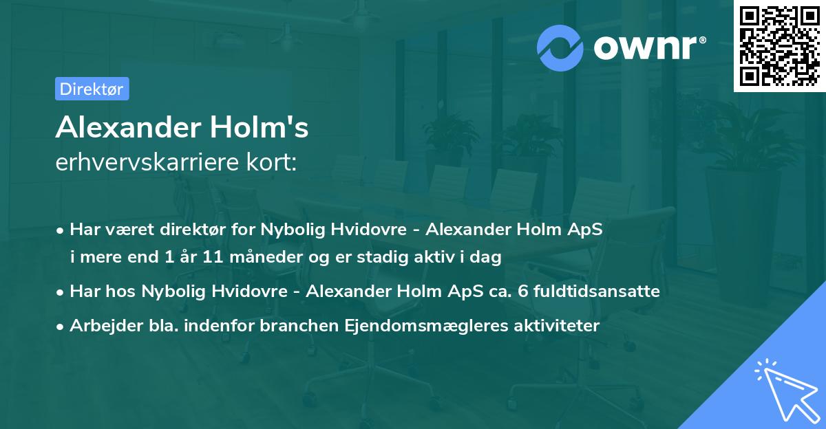 Alexander Holm's erhvervskarriere kort