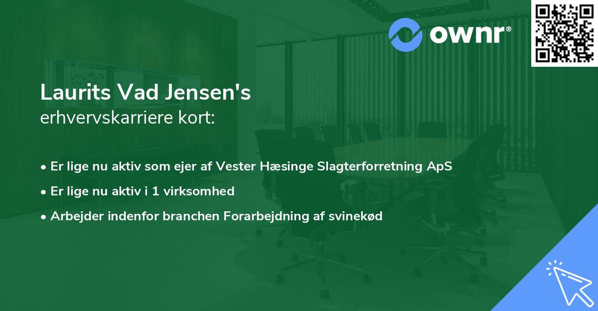 Laurits Vad Jensen's erhvervskarriere kort