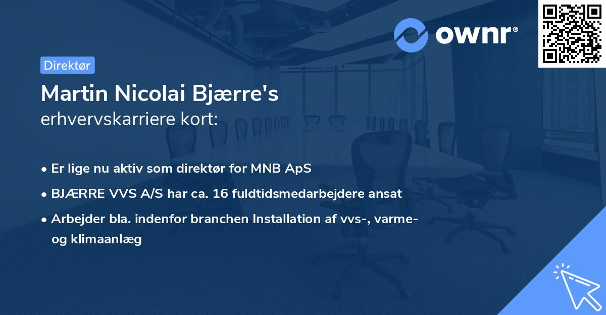 Martin Nicolai Bjærre's erhvervskarriere kort