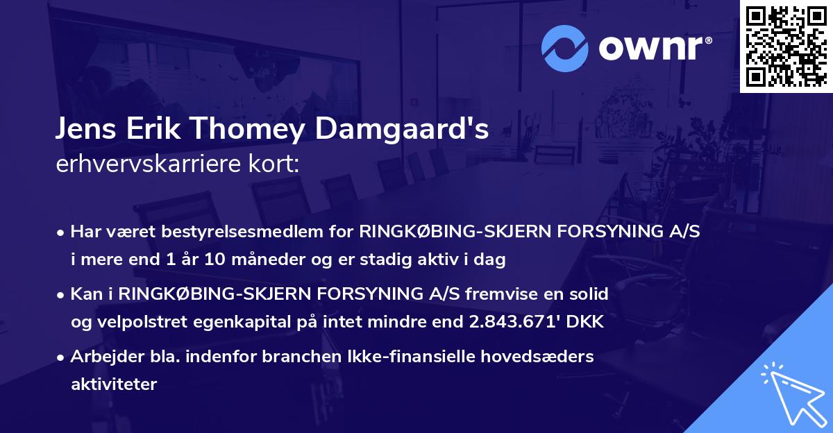 Jens Erik Thomey Damgaard's erhvervskarriere kort