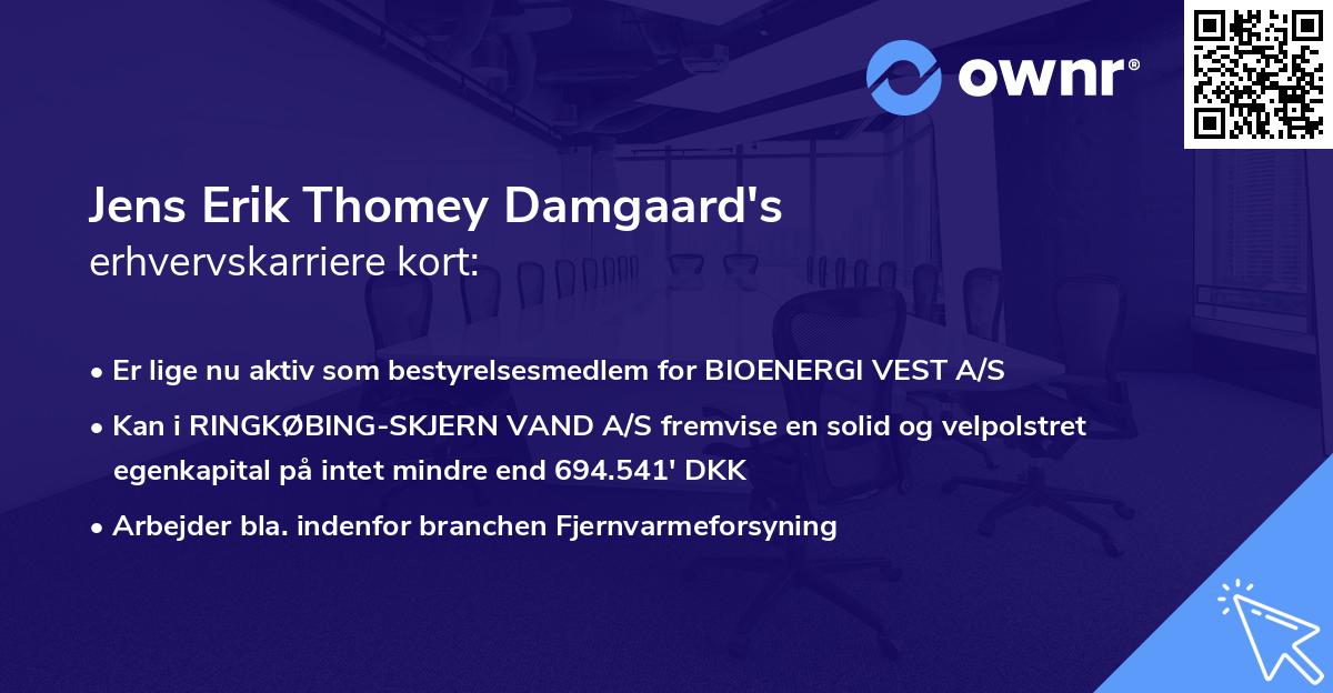 Jens Erik Thomey Damgaard's erhvervskarriere kort