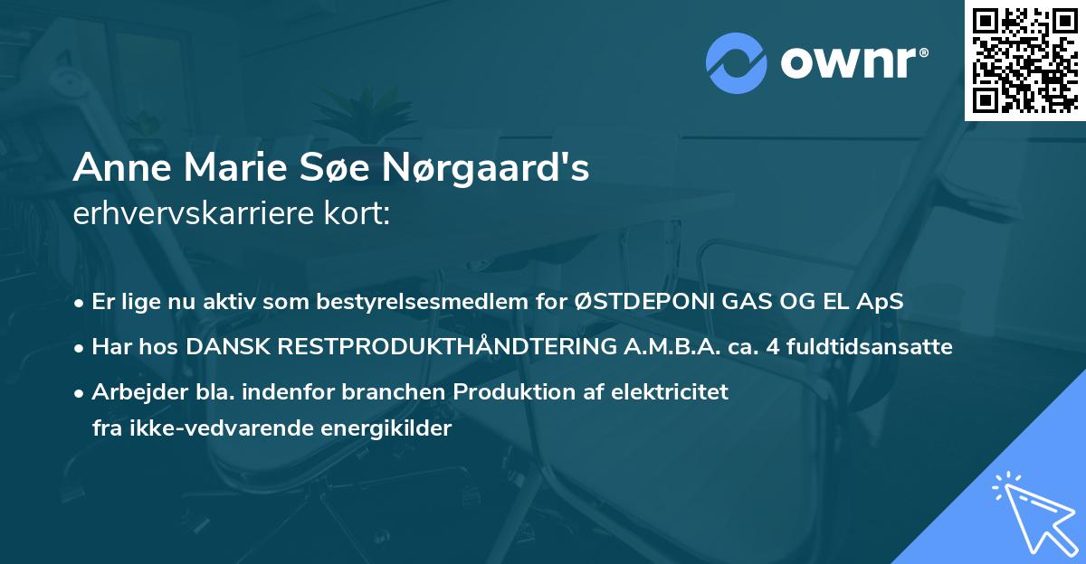 Anne Marie Søe Nørgaard's erhvervskarriere kort