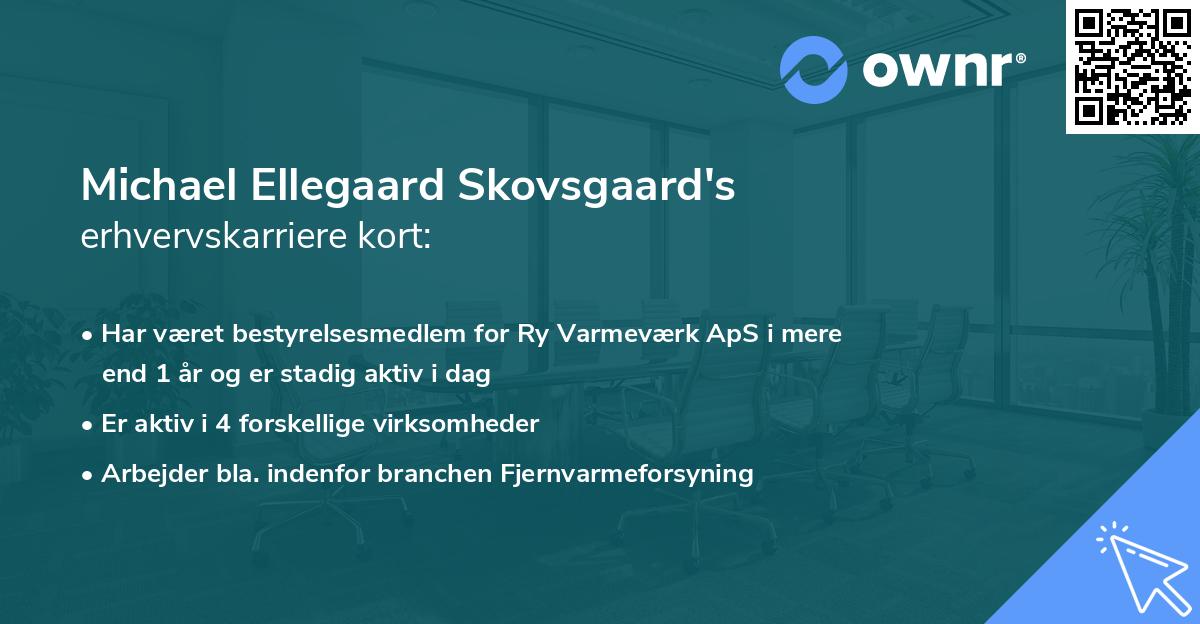 Michael Ellegaard Skovsgaard's erhvervskarriere kort