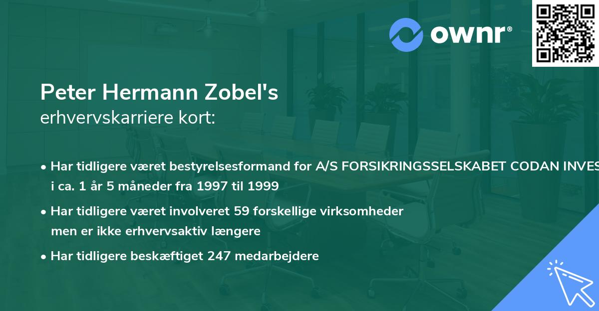 Peter Hermann Zobel's erhvervskarriere kort