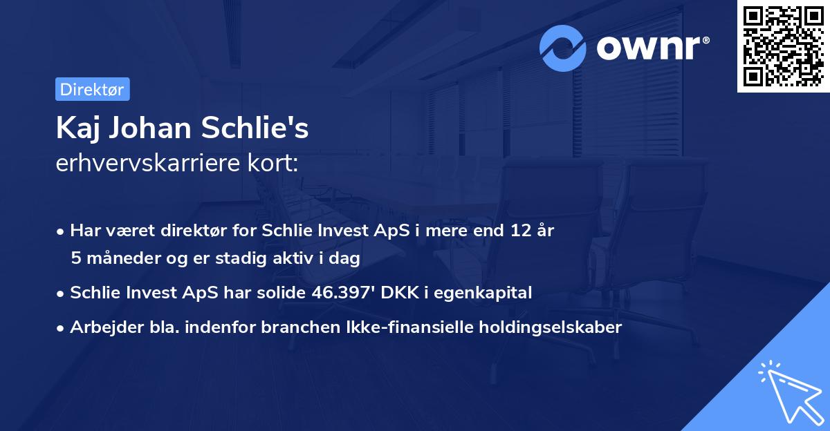 Kaj Johan Schlie's erhvervskarriere kort